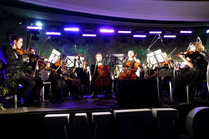 baile_gala 272 Custom